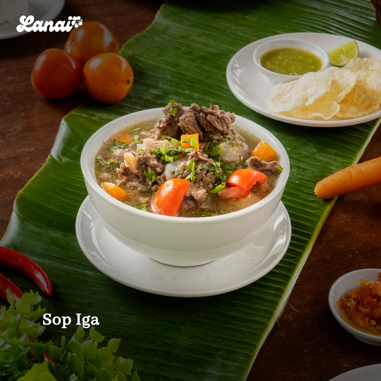 Sop Iga